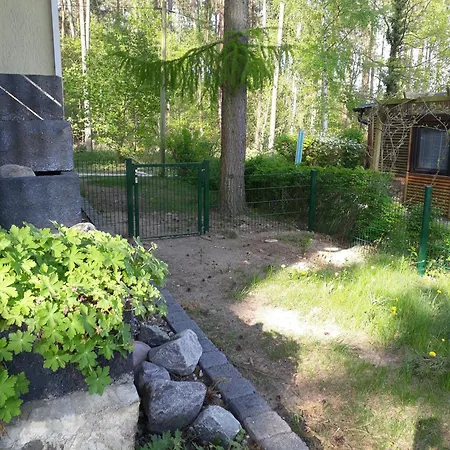 Waldschneise A Am Jabeler Tatil Evi