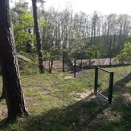 Waldschneise A Am Jabeler Jabel